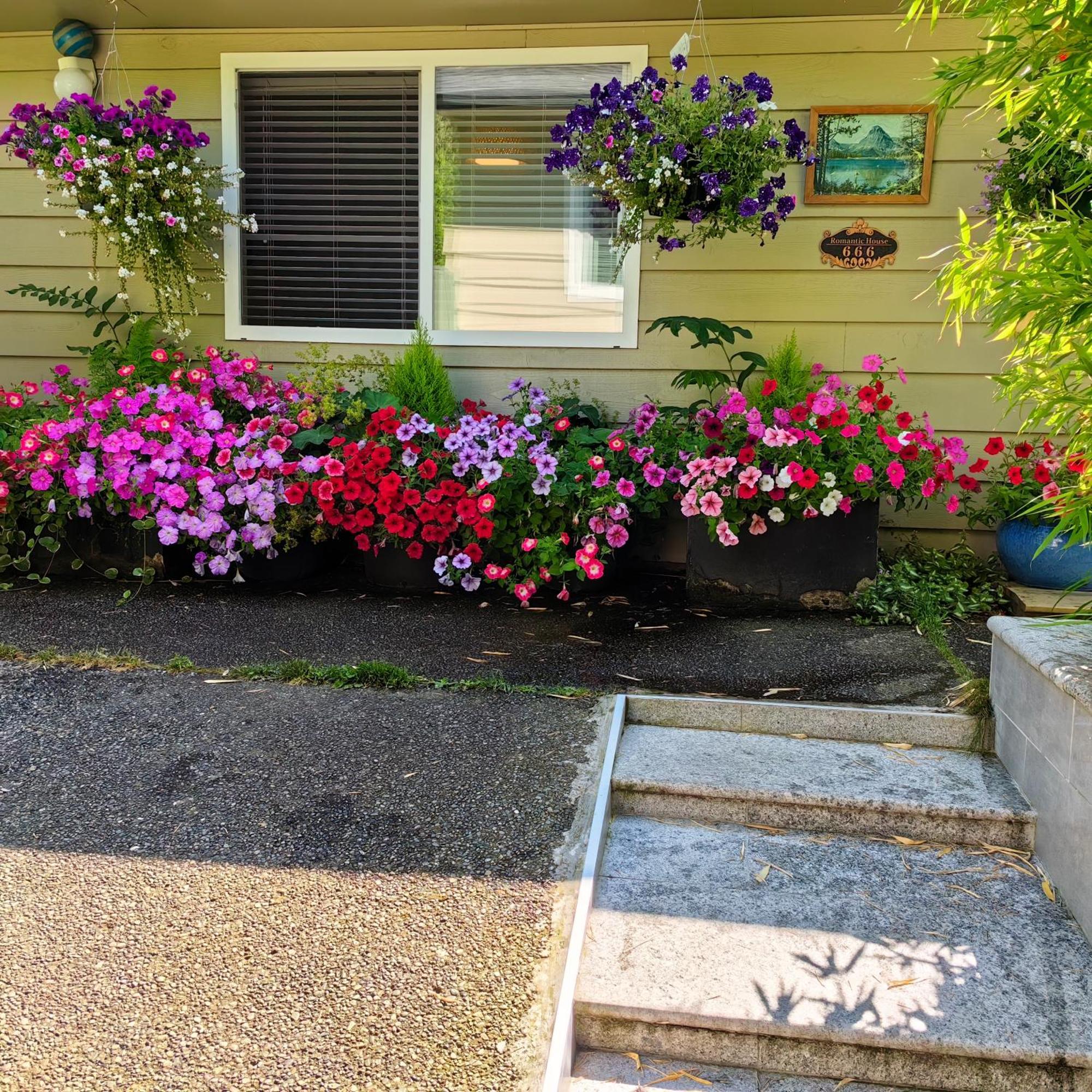 Romantic Homestay Coquitlam Luaran gambar
